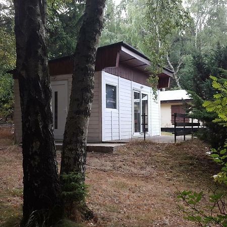Bungalowdorf Klein Budelsdorf Altenberg  Dış mekan fotoğraf