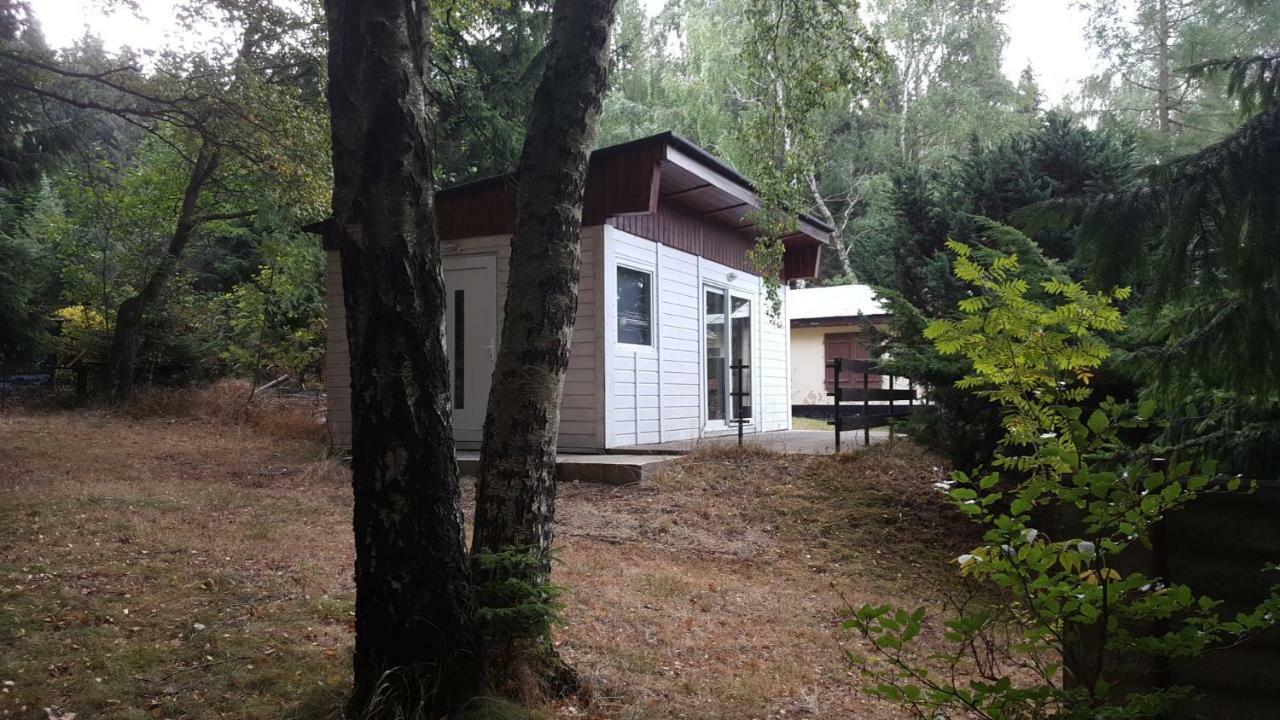 Bungalowdorf Klein Budelsdorf Altenberg  Dış mekan fotoğraf